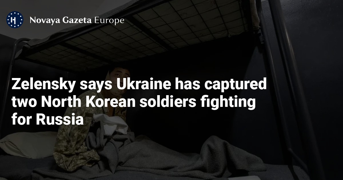 NextImg:Zelensky says Ukraine has captured two North Korean soldiers fighting for Russia — Novaya Gazeta Europe