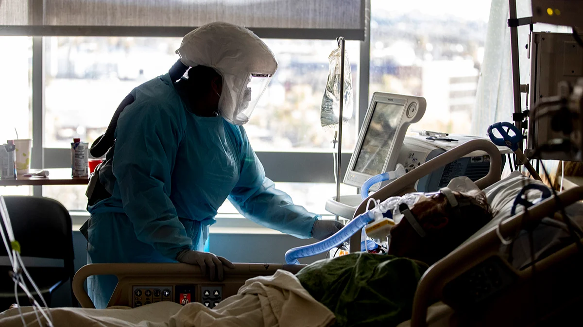 «Бактерии эволюционировали вместе с нами. Теперь мы пытаемся их догнать»