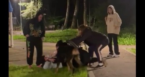 Момент нападения на женщину в хиджабе в Новой Москве. Фото: скрин  видео