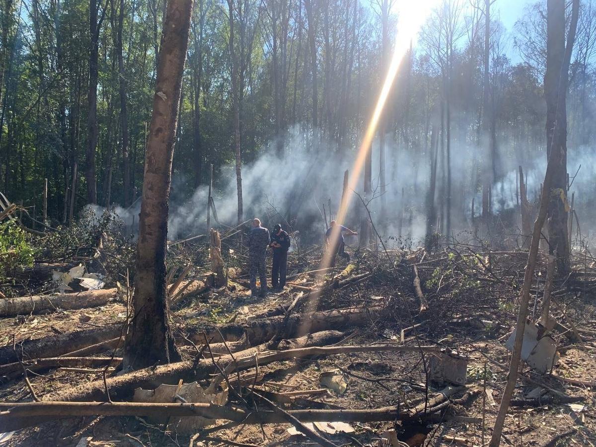 Rescue services working at the crash site. Photo: Kolomna mayor Alexander Grechishchev's Telegram  channel