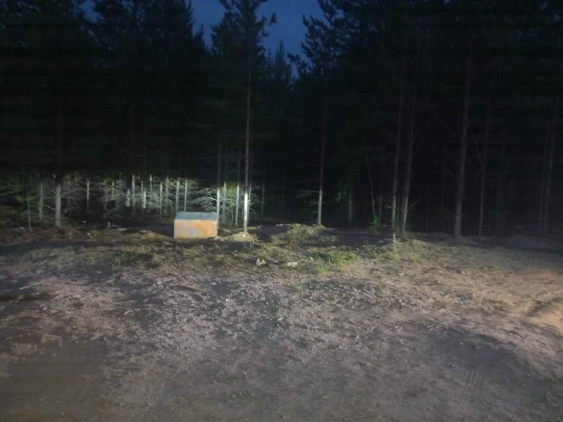 Фото: место свалки после уборки