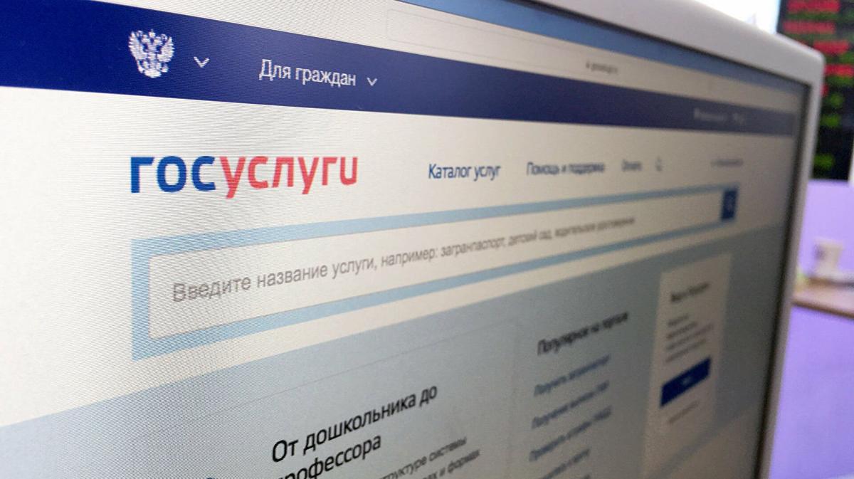 СМИ: функция удаления аккаунта на «Госуслугах» вновь стала доступна