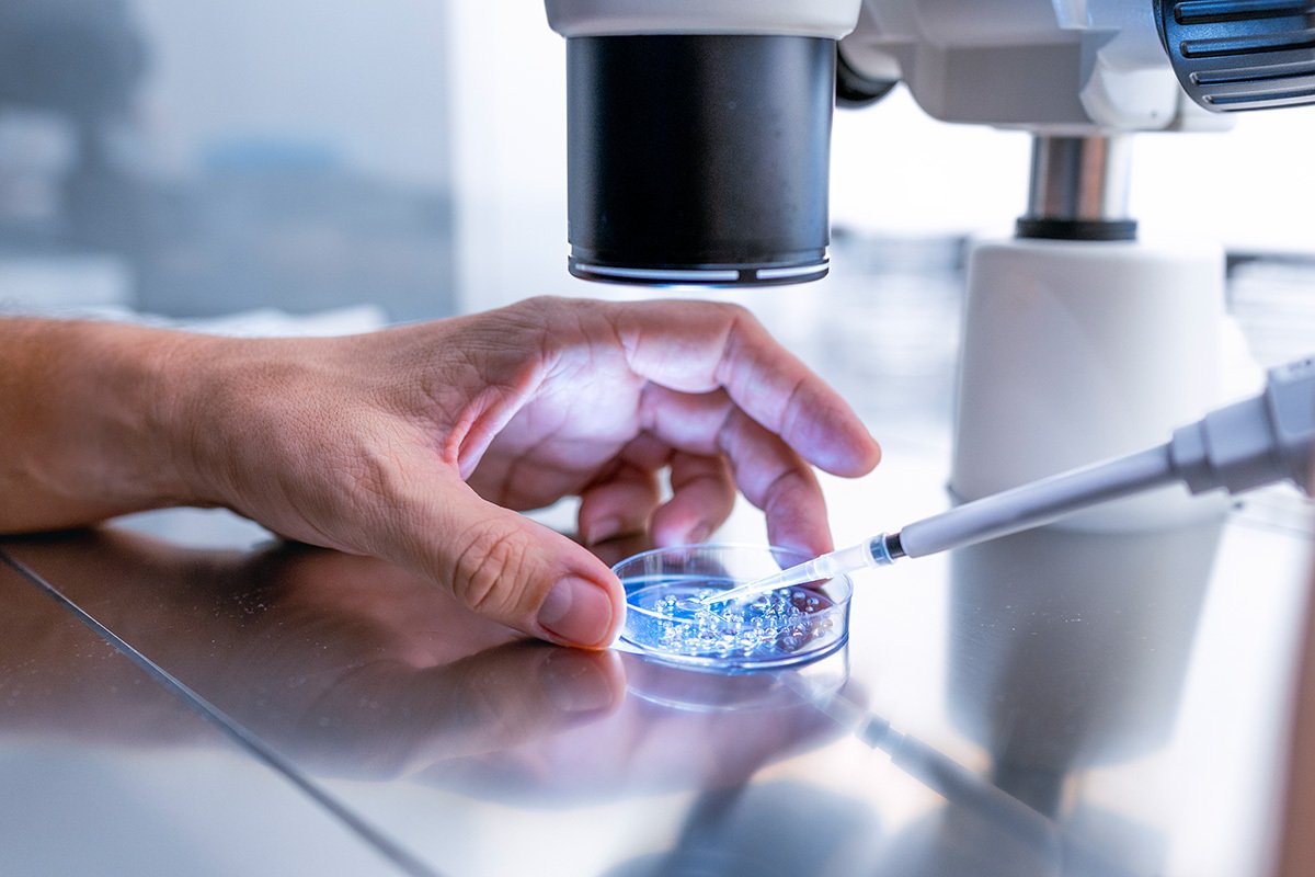В лаборатории репродукции врач готовит пластины для выращивания эмбрионов. Фото: Carlos Duarte / Getty Images