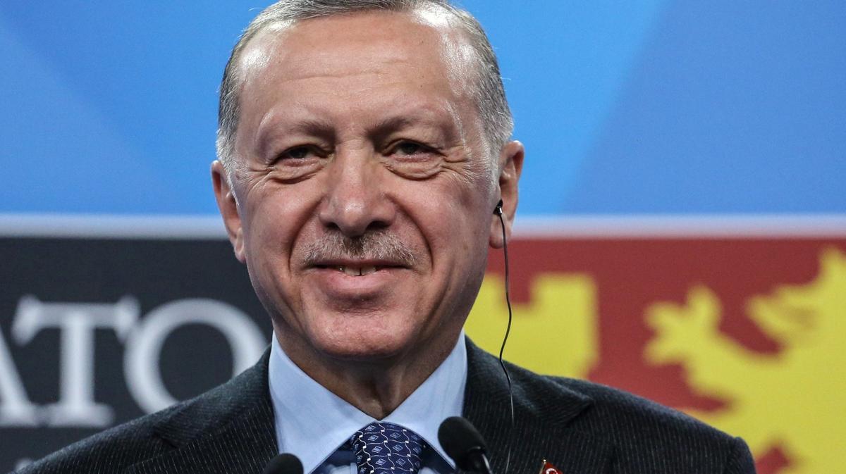 Мир по Эрдогану