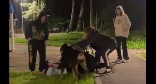 Woman in a hijab attacked in Moscow. Photo: video screenshot
