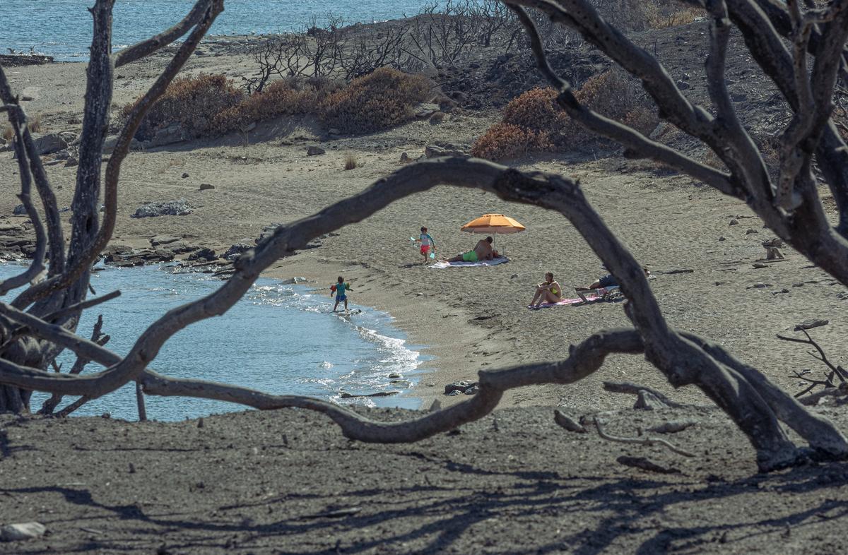 Редкие отдыхающие на пляже возле сожженых кустарников. Фото: Василий Крестьянинов / специально для «Новой газеты Европа»