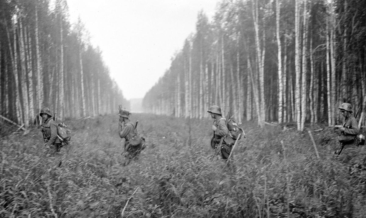 Финские солдаты пересекают границу с СССР, лето 1941 года. Фото:  Wikimedia Commons