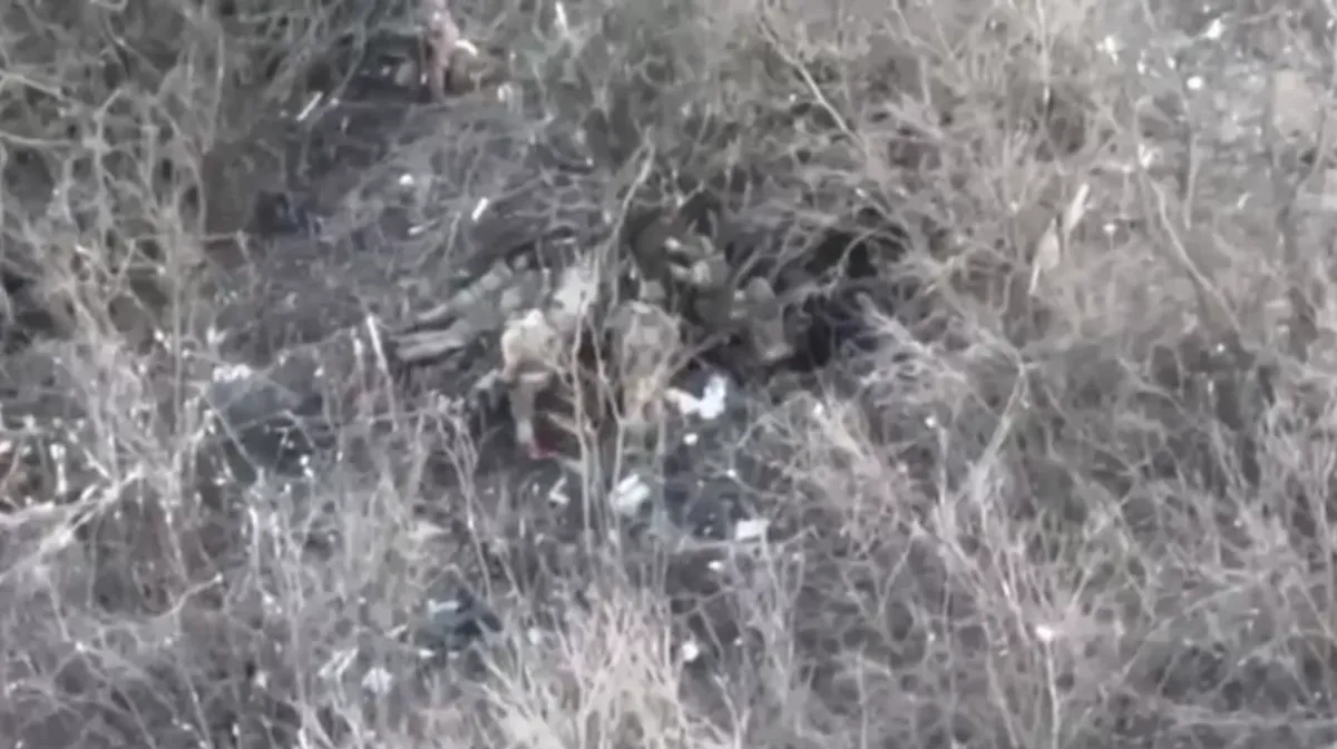 Бойцы ДШРГ «Русич» опубликовали видео предполагаемого расстрела украинских пленных. По их словам, власти потребовали удалить пост