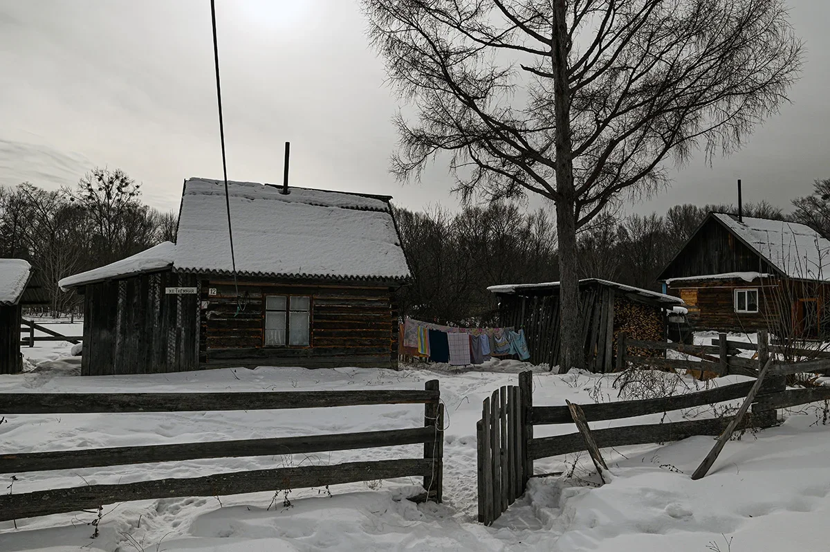 Russian tiger fights for life after frostbite