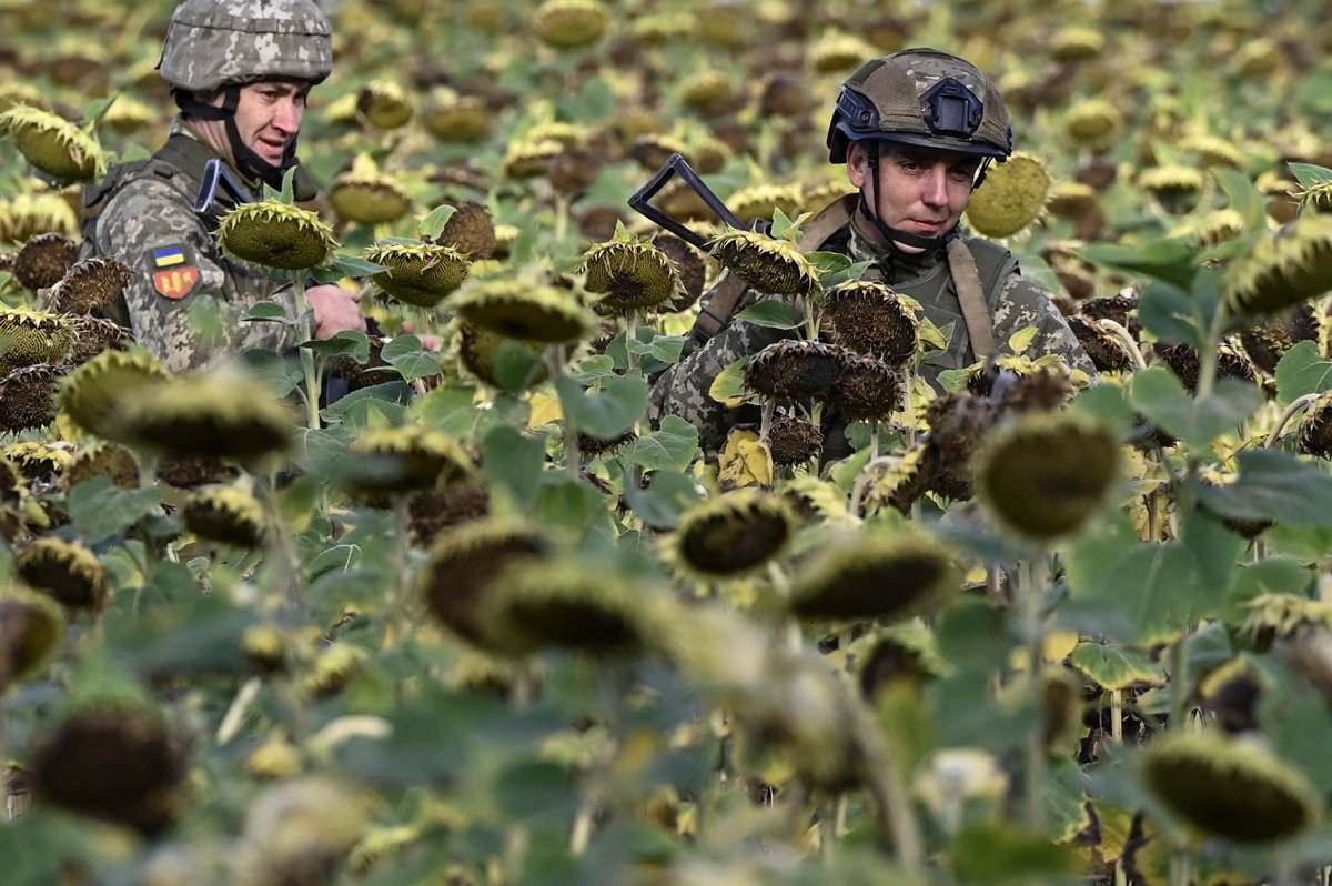 Украинские военнослужащие недалеко от Покровска, Донецкая область, Украина, 22 августа 2024 года. Фото: Reuters / Scanpix / LETA