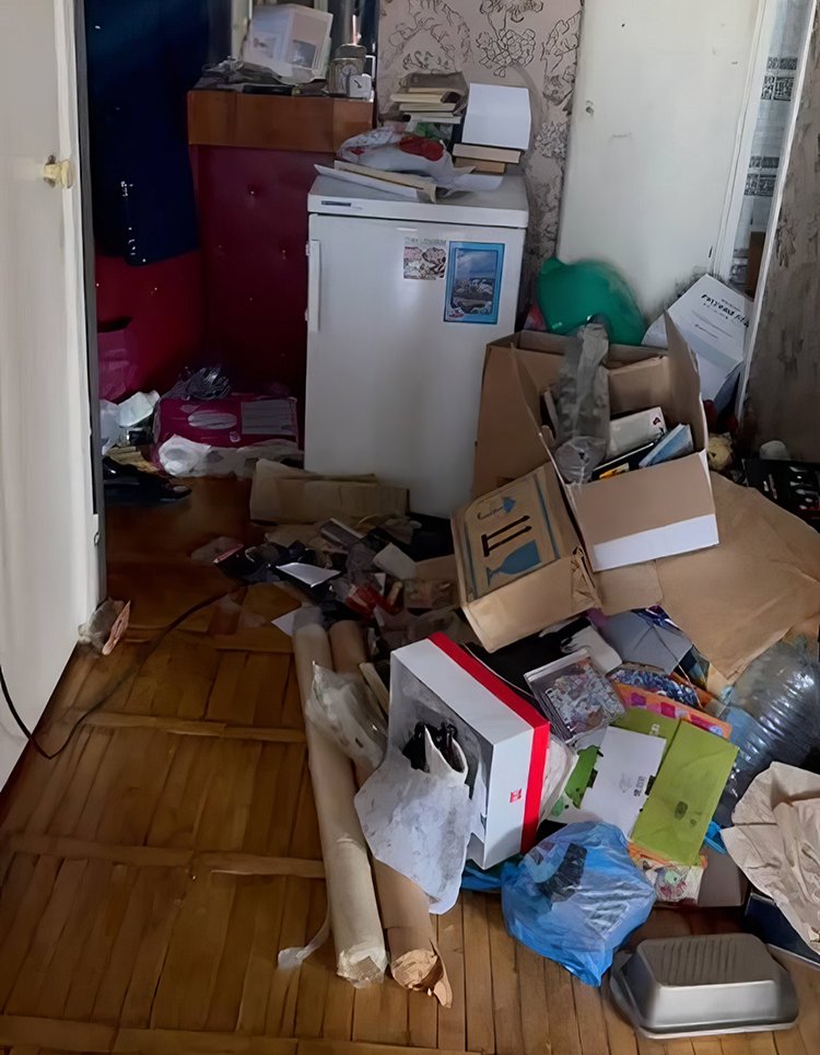 Квартира Надежды Буяновой после обысков. Скриншот видео