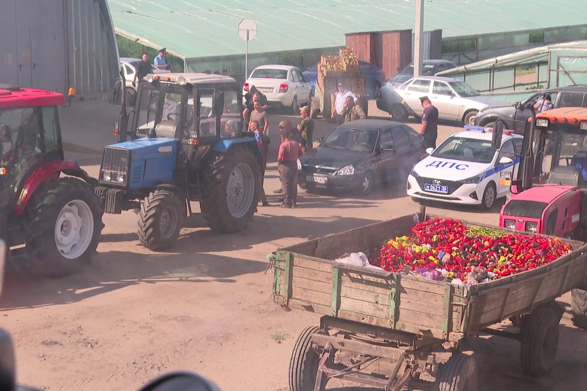 Полицейские проверяют рабочих на ферме. Фото:  Вести Воронеж