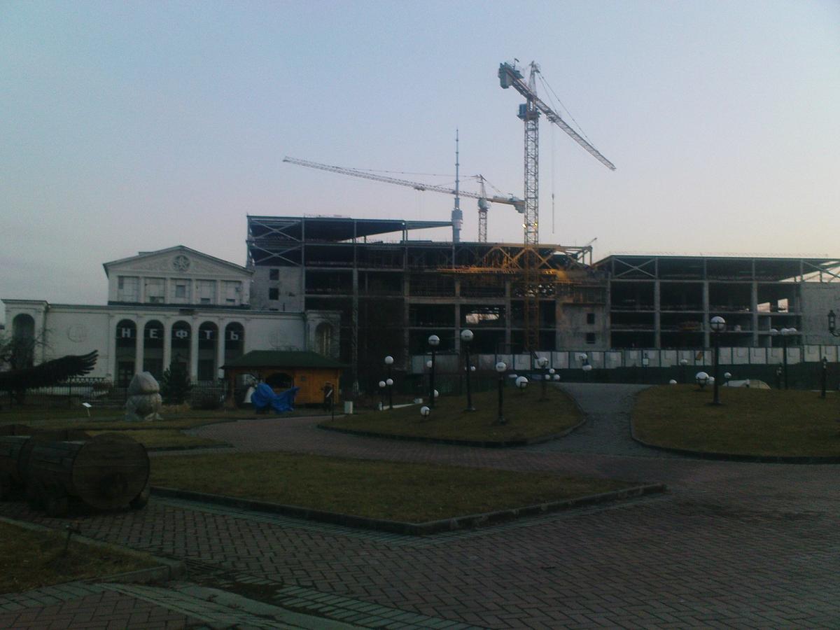 Строительство «Москвариума», 2015 год. Фото: «Архнадзор»