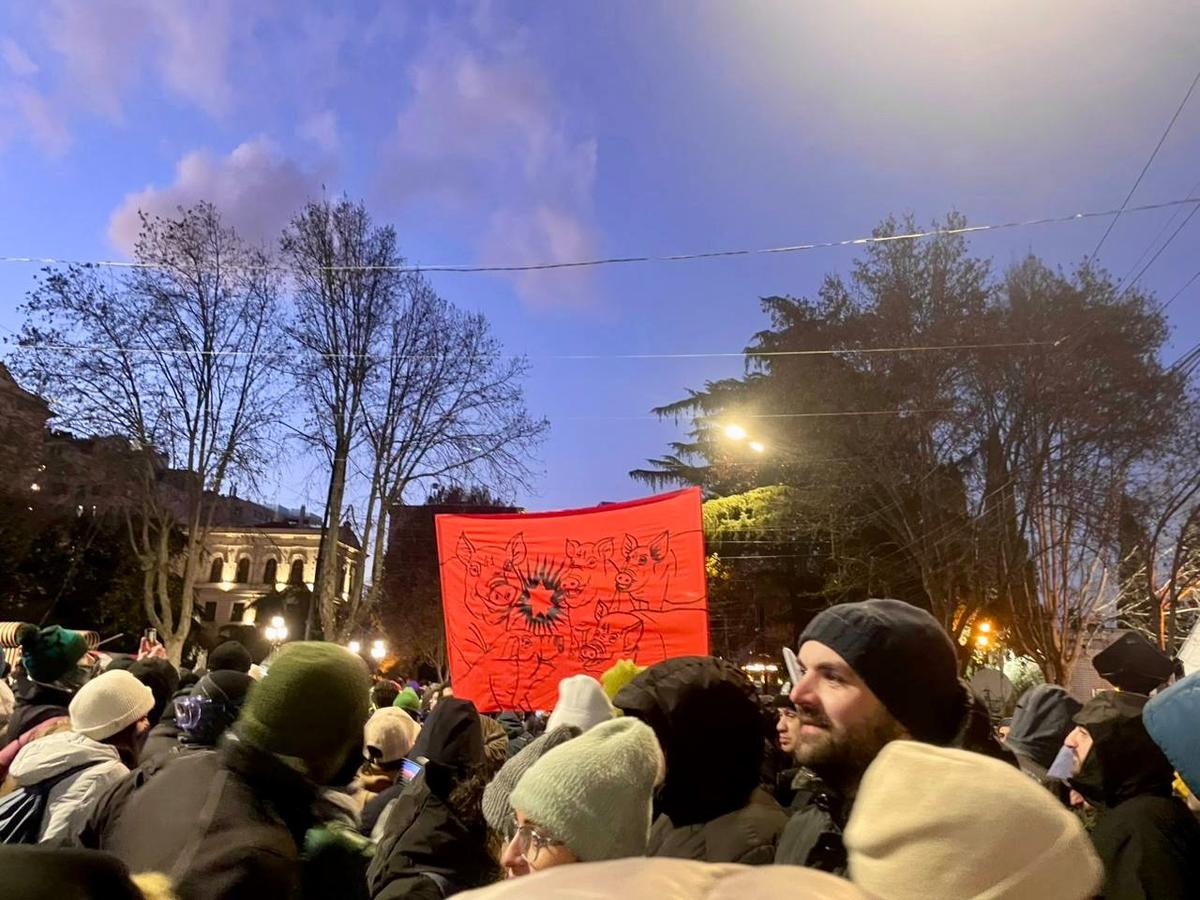 Protesters hold up a sign depicting Georgian Dream politicians as the pigs from George Orwell’s Animal Farm, in Tbilisi on 14 December. The pigs have the number 41 on them, Georgian Dream’s number on the electoral list. Photo: Khatia Pochkhidze