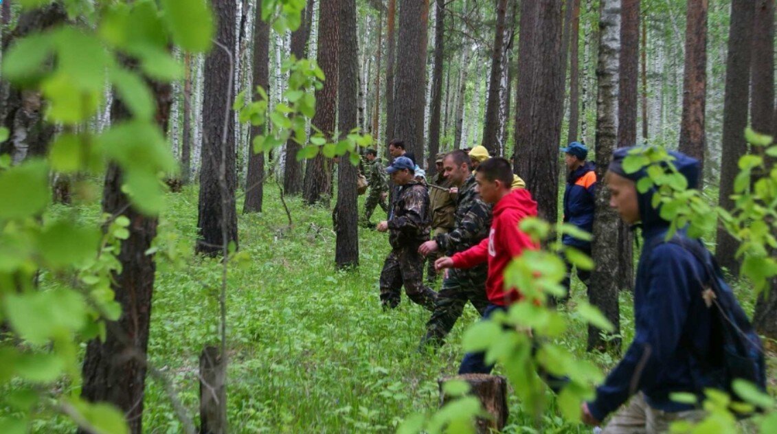 Волонтеры «Лиза Алерт» ищут пропавших людей, фото: dia-logica.ru