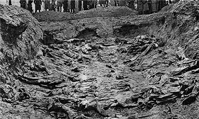 Эксгумация могил в Катынском лесу. Фото:  Wikimedia Commons