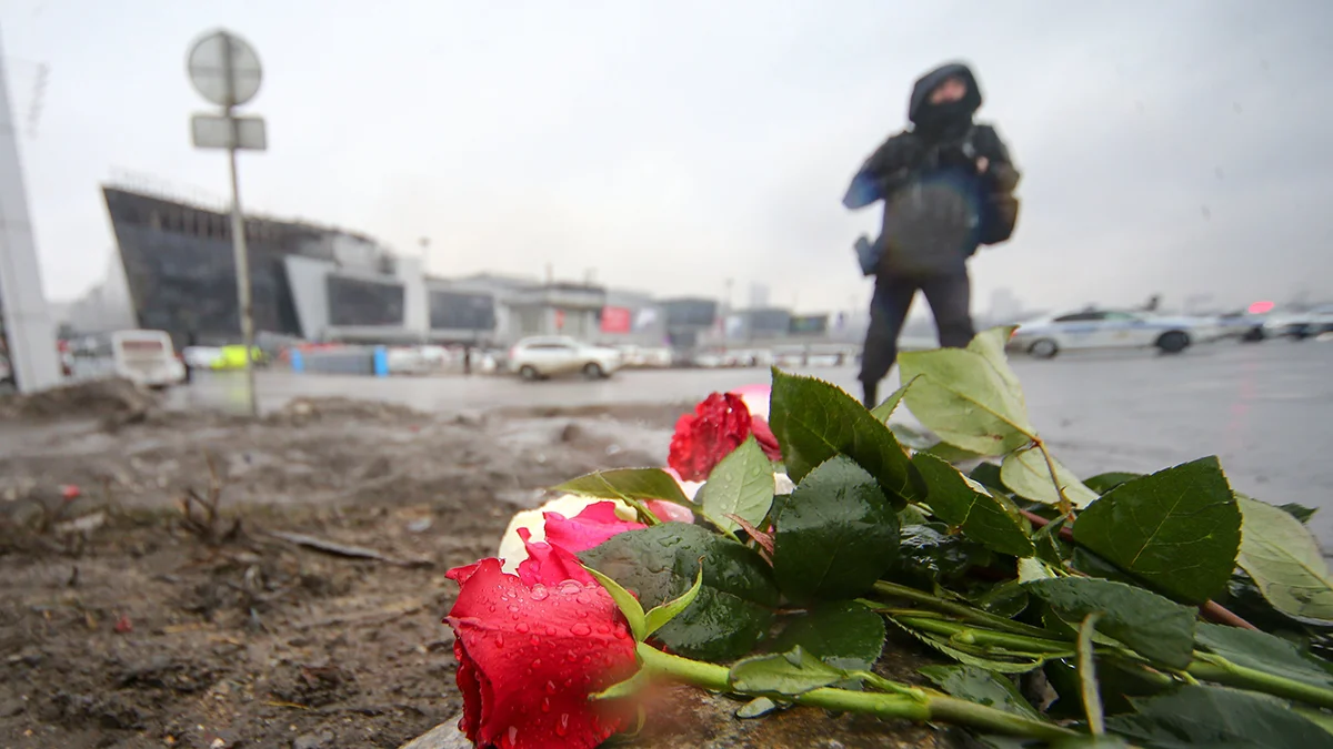 Изображение материала