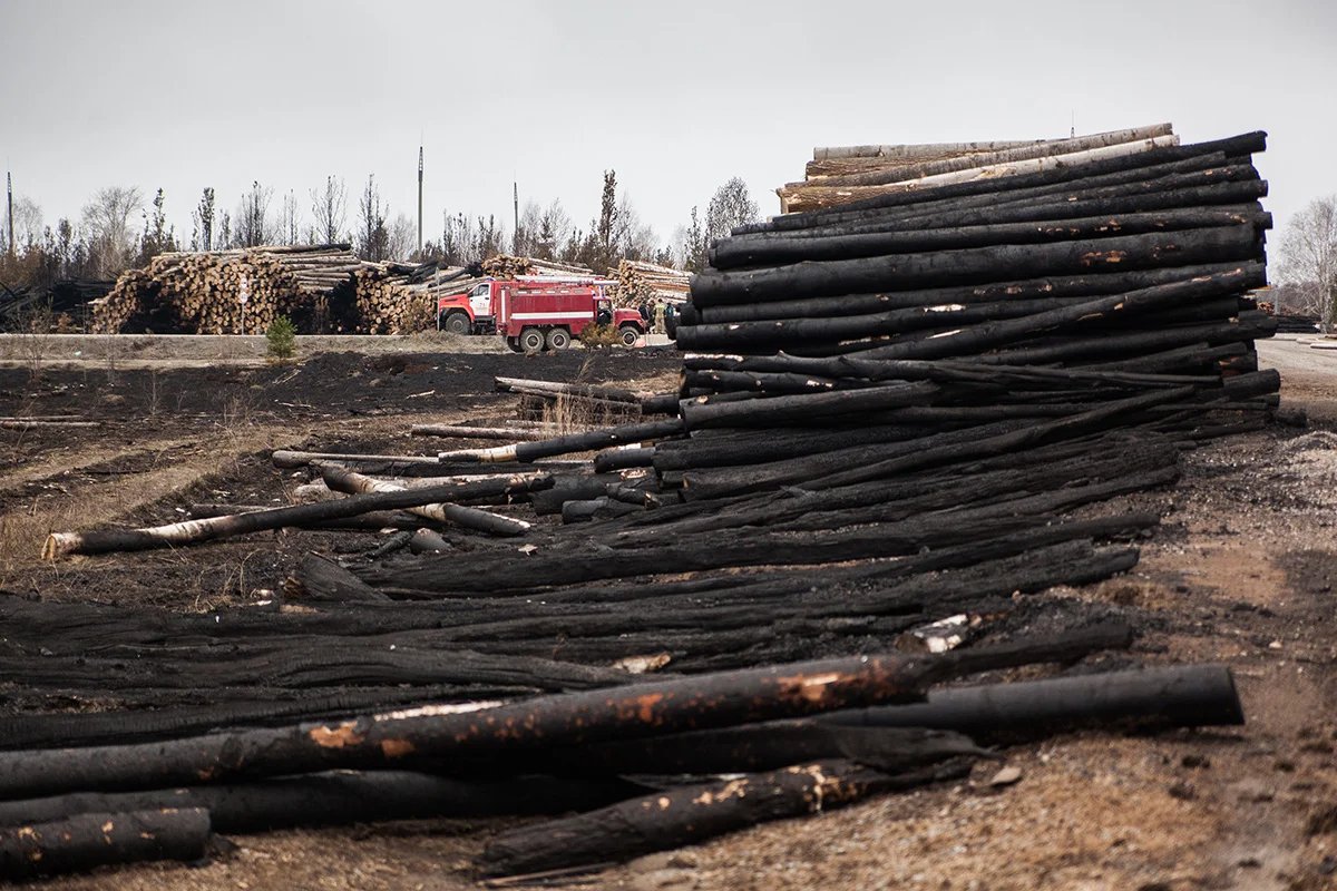 Burnt-down logs at a sawmill near the prison colony in Sosva. Photo: Nikolay Kozhevnikov, exclusively for Novaya Gazeta Europe