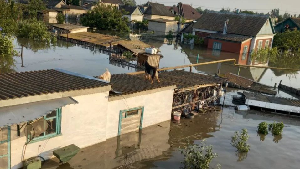 Kherson region floods: ‘The buildings collapsed like houses of cards’