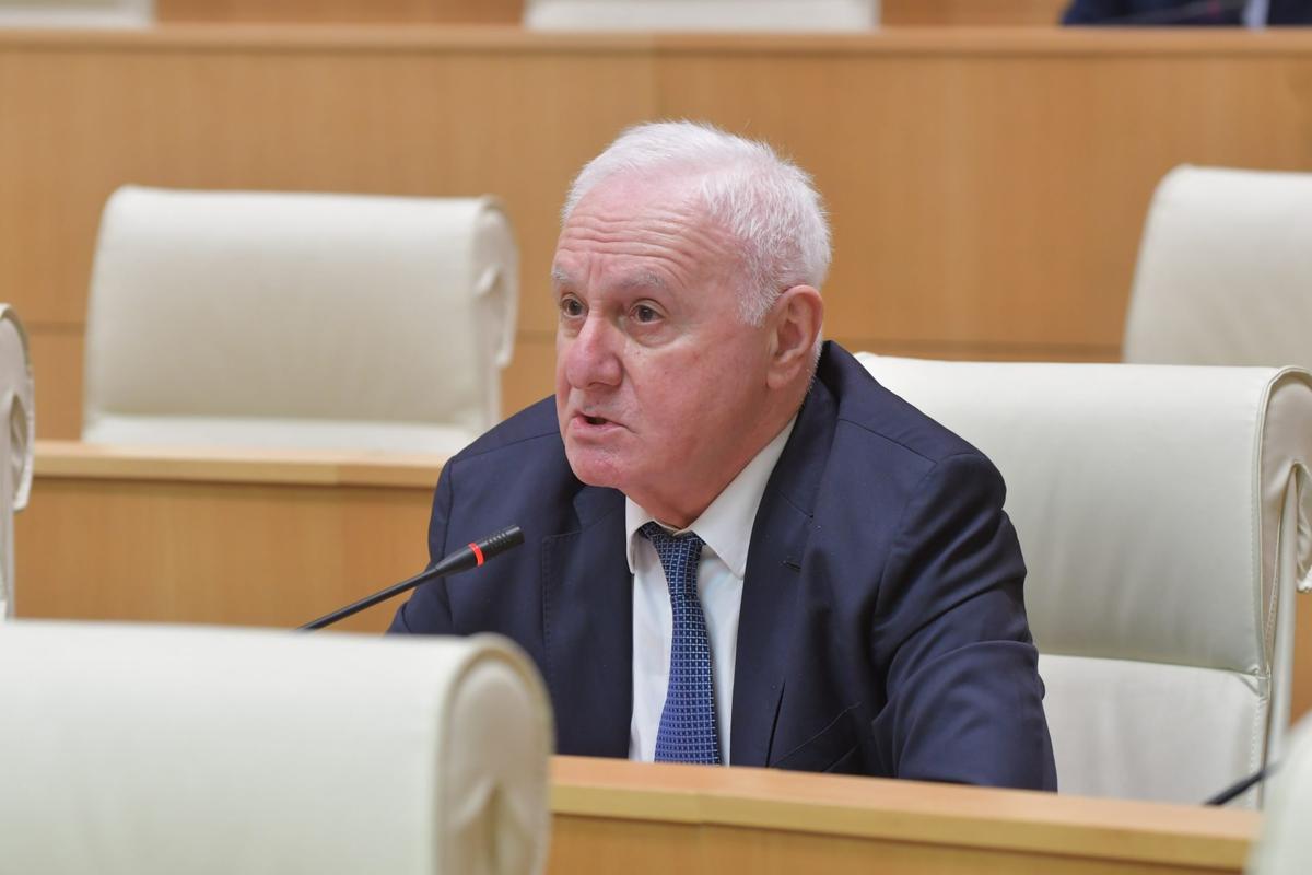 Депутат парламента Грузии Фридон Инджия