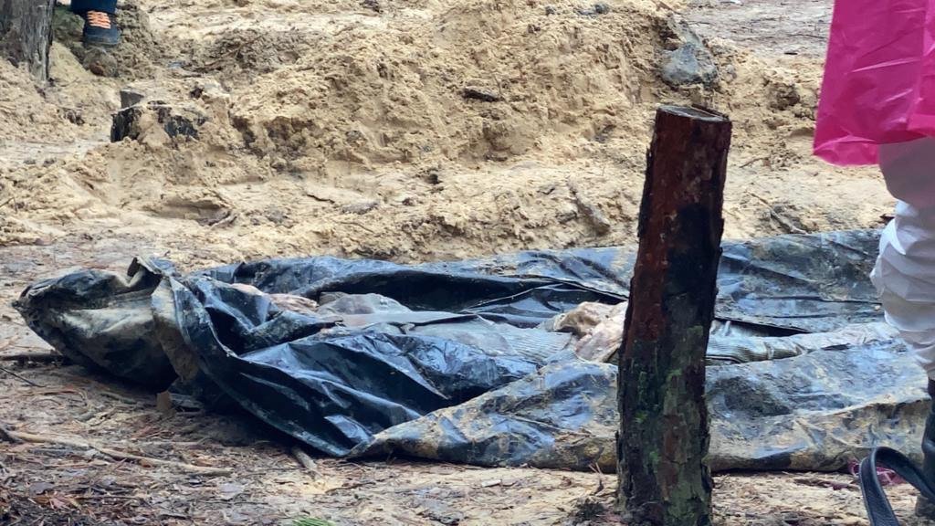 Фото: Надежда Тарковская, специально для «Новой газеты. Европа»