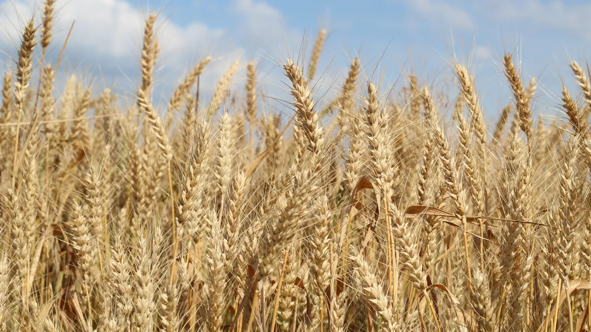 Изображение материала