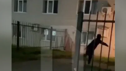 Изображение материала