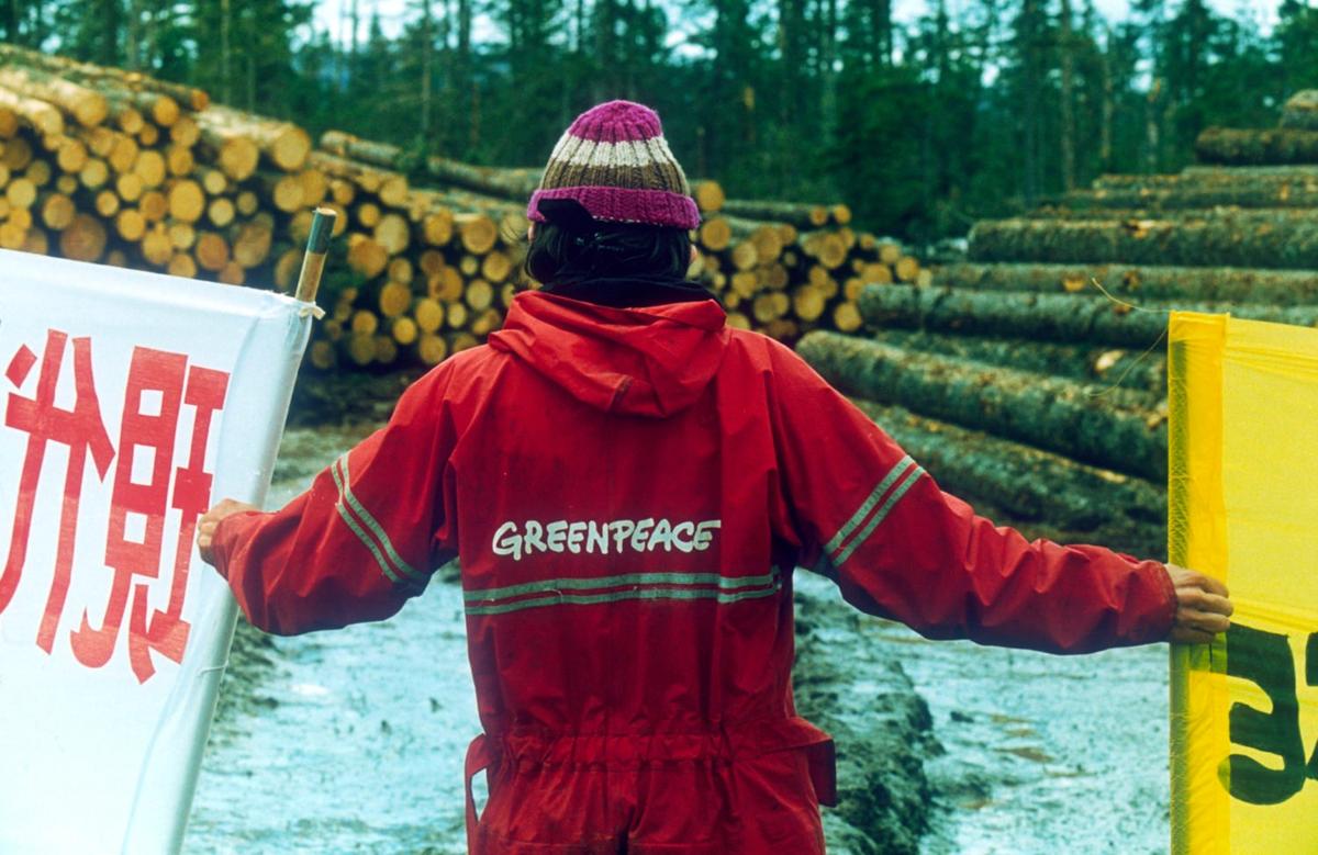 Акция российского Гринпис, в которой участвовали коренные жители Приморья — удэгейцы, помогла сохранить от вырубки нетронутую тайгу в верховьях реки Бикин, 1992 год. Фото: Greenpeace