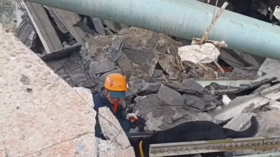 Изображение материала