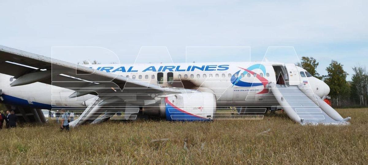 Место экстренной посадки самолета в Новосибирской области. Фото: Baza