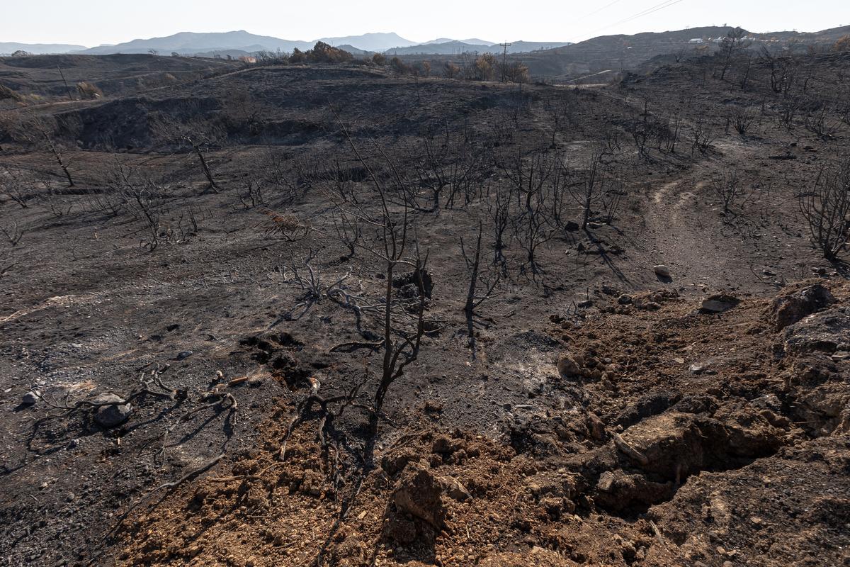 Обширная выжженная территория возле деревни Киотари со стороны острова. Фото: Василий Крестьянинов / специально для «Новой газеты Европа»