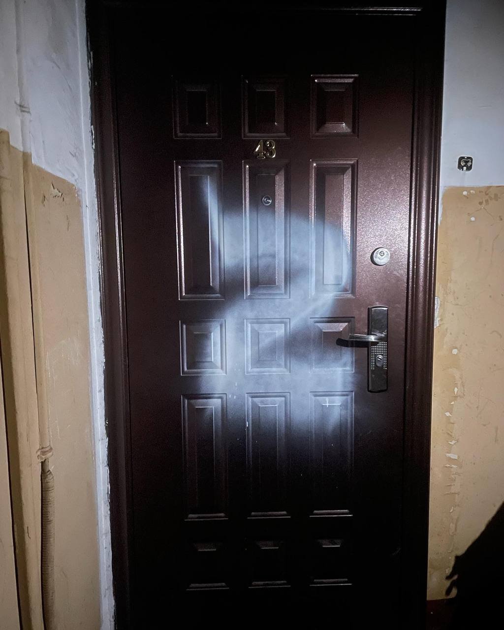 Дверь квартиры Антона Долина в Москве. Фото:  Telegram