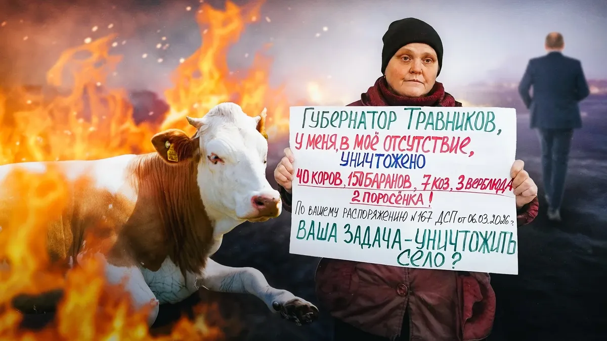 Изображение материала