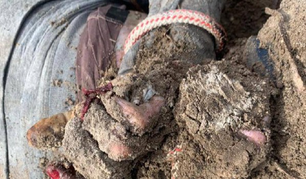 Фото: офис Генерального прокурора Украины