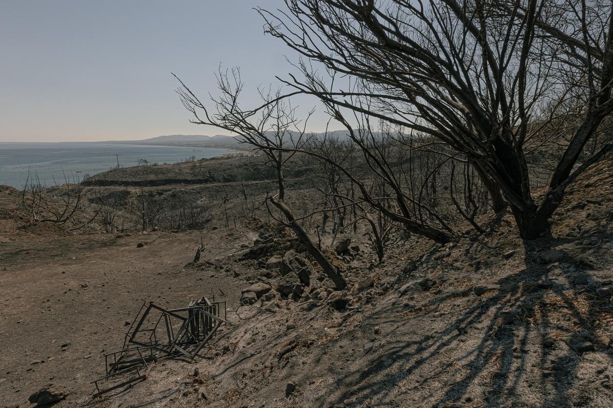 Вид на море со стороны выжженных кустарников. Фото: Василий Крестьянинов / специально для «Новой газеты Европа»