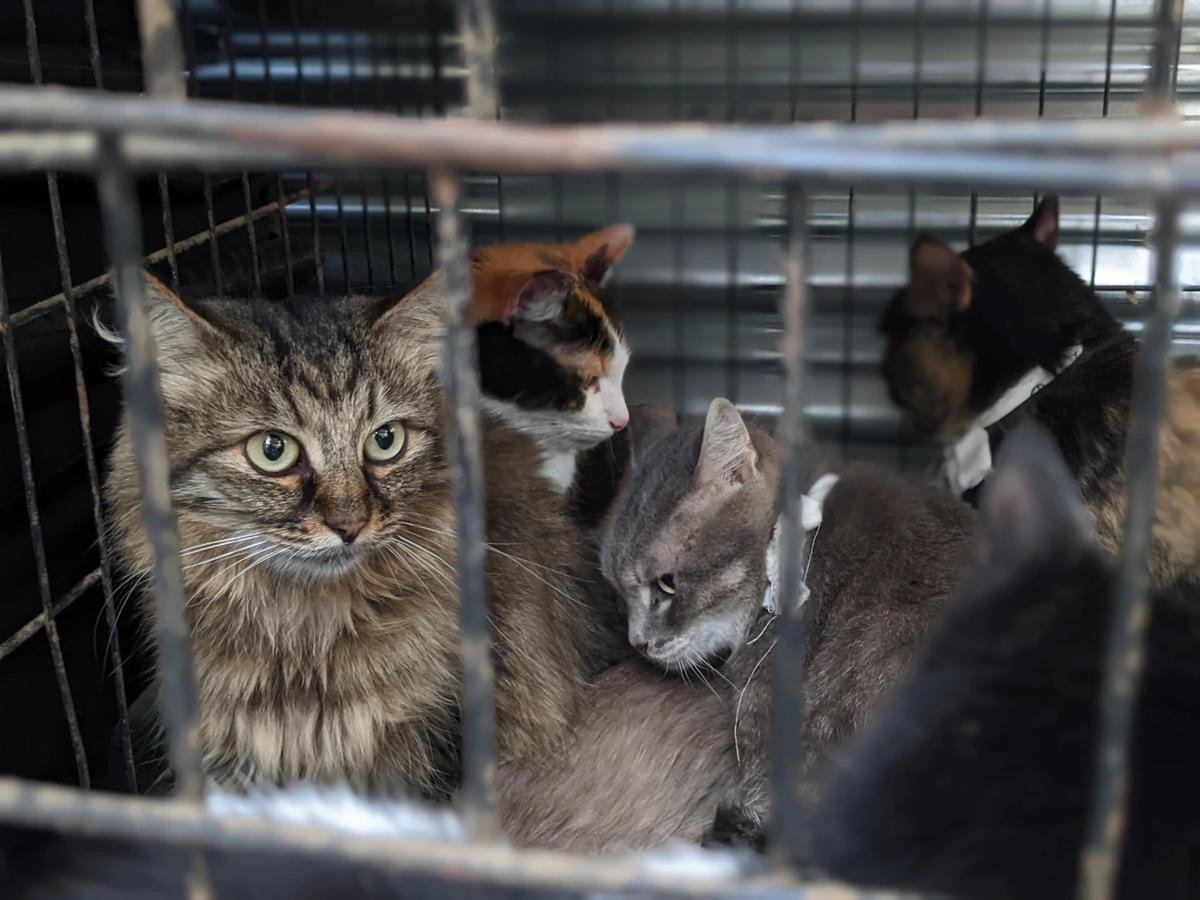 Фото: Анна Ефимова