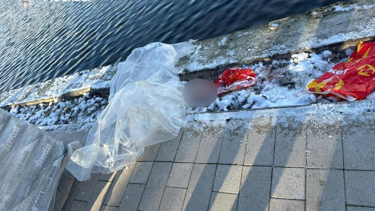 Голову ребенка нашли в Гольяновском пруду Москвы