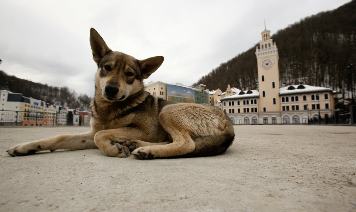 Фото: Wolfgang Rattay / REUTERS / Scanpix