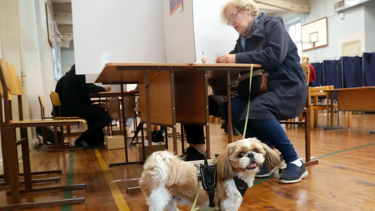 Русские, назад