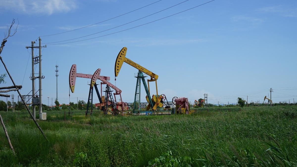 Нефтегазовое месторождение Дацин в Китае. Фото: Amarespeco