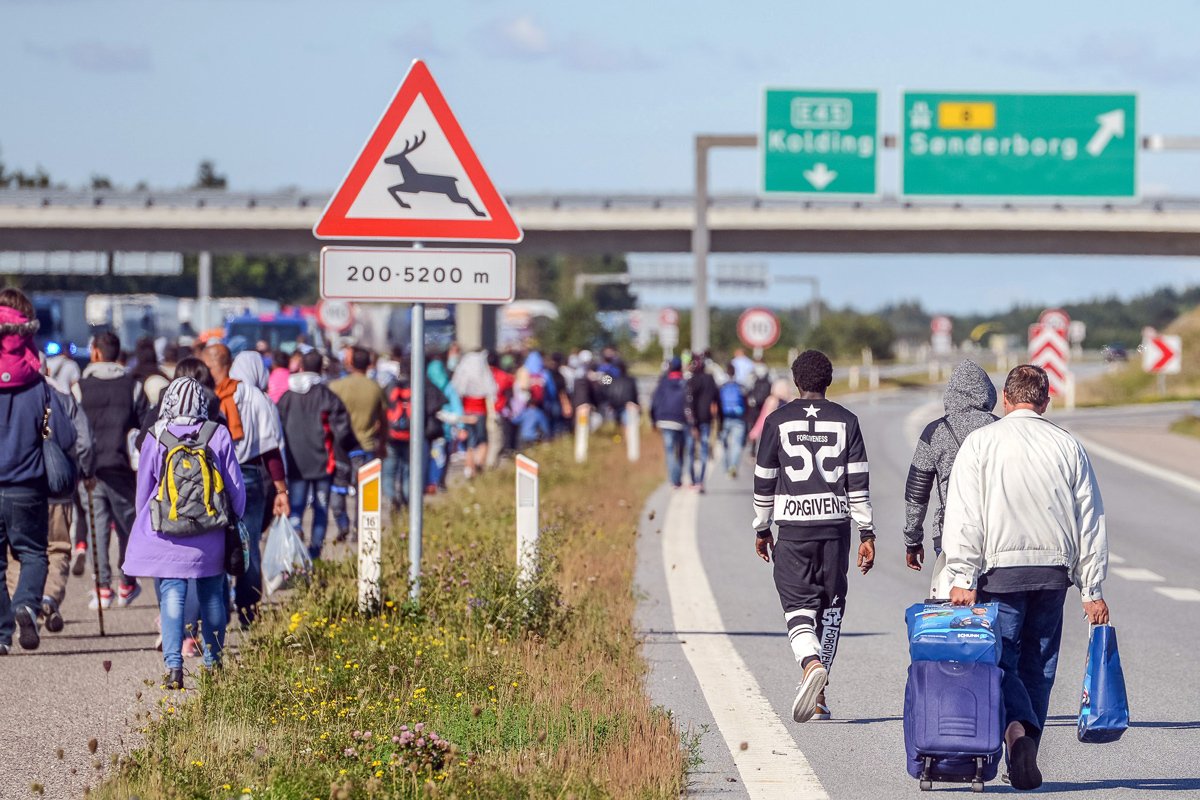 Мигранты, в основном из Сирии и Ирака, идут по автостраде E45 недалеко от Клиплева, Дания, 9 сентября 2015 года. Тысячи мигрантов прибыли рано утром в Падборг с поездом из Германии и были размещены в школе, откуда они бежали, чтобы попытаться добраться до Швеции, пройдя по автостраде. Полиция закрыла автостраду из соображений безопасности. Фото: Benjamin Nolte / EPA