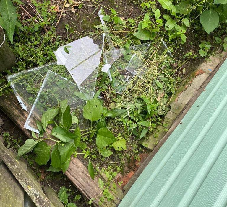 Фото: телеграм-канал Александра Богомаза