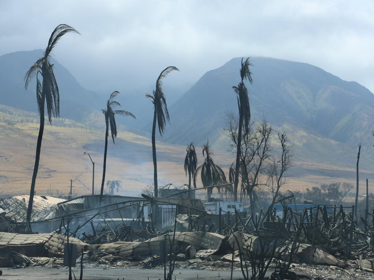 Последствия пожара на Гавайях. Фото: губернатор Джош Грин