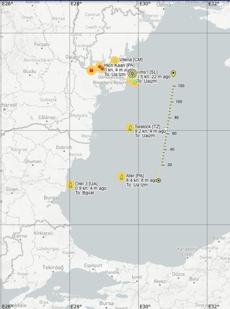 Иностранные суда, прошли через Черное море и зашли в украинские порты. Фото:  Twitter