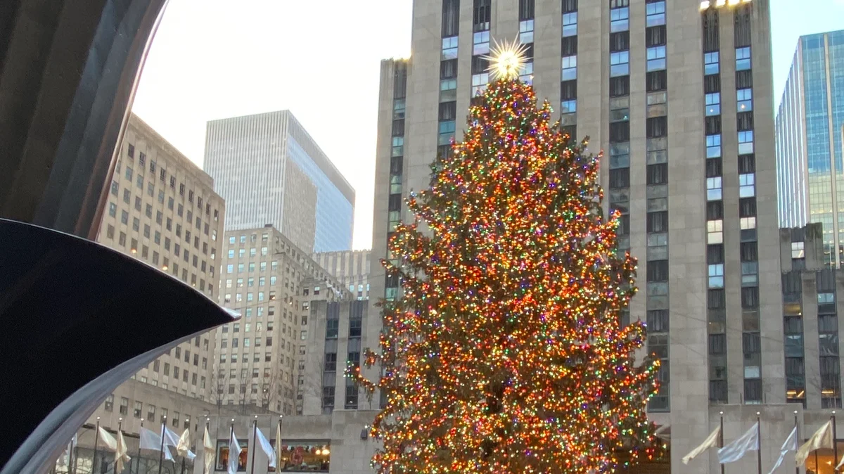 Фото: Ирина Генис, специально для «Новой газеты Европа»