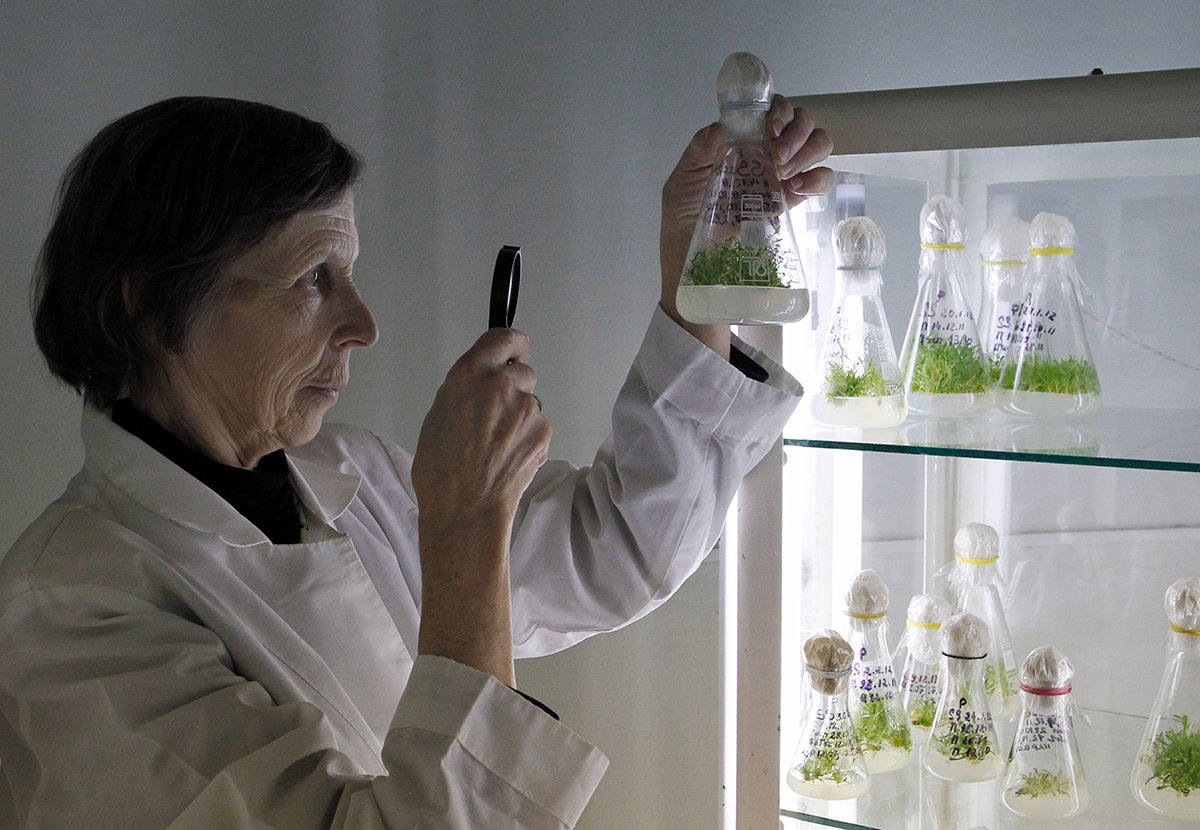 Старший научный сотрудник лаборатории Института биофизики клетки РАН в городе Пущино, 24 февраля 2012 года. Фото: Денис Синяков / Reuters / Scanpix / LETA