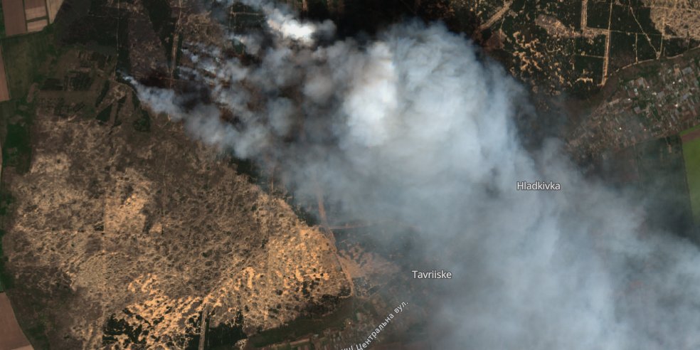 Спутниковый снимок лесного пожара в Донецкой области. Фото: uncg.org.ua