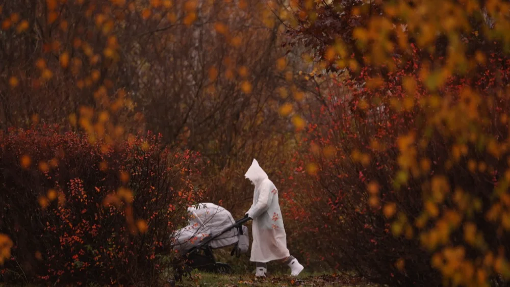 Изображение материала