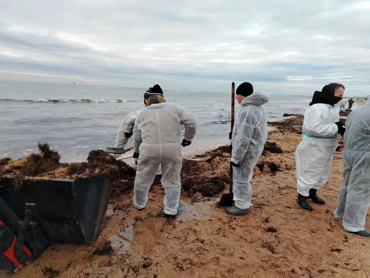 Volunteers clean up the Krasnodar region coast. Photo: Krasnodar Governor Veniamin Kondratyev / Telegram