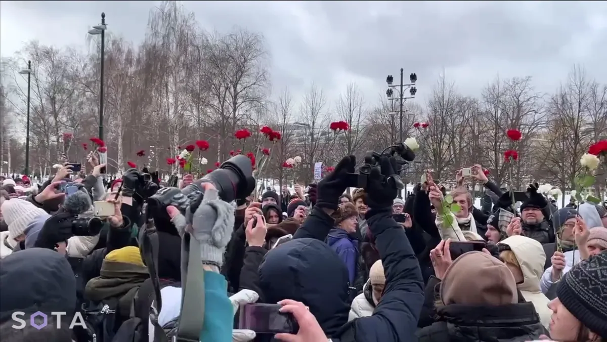 Скриншот: SOTA